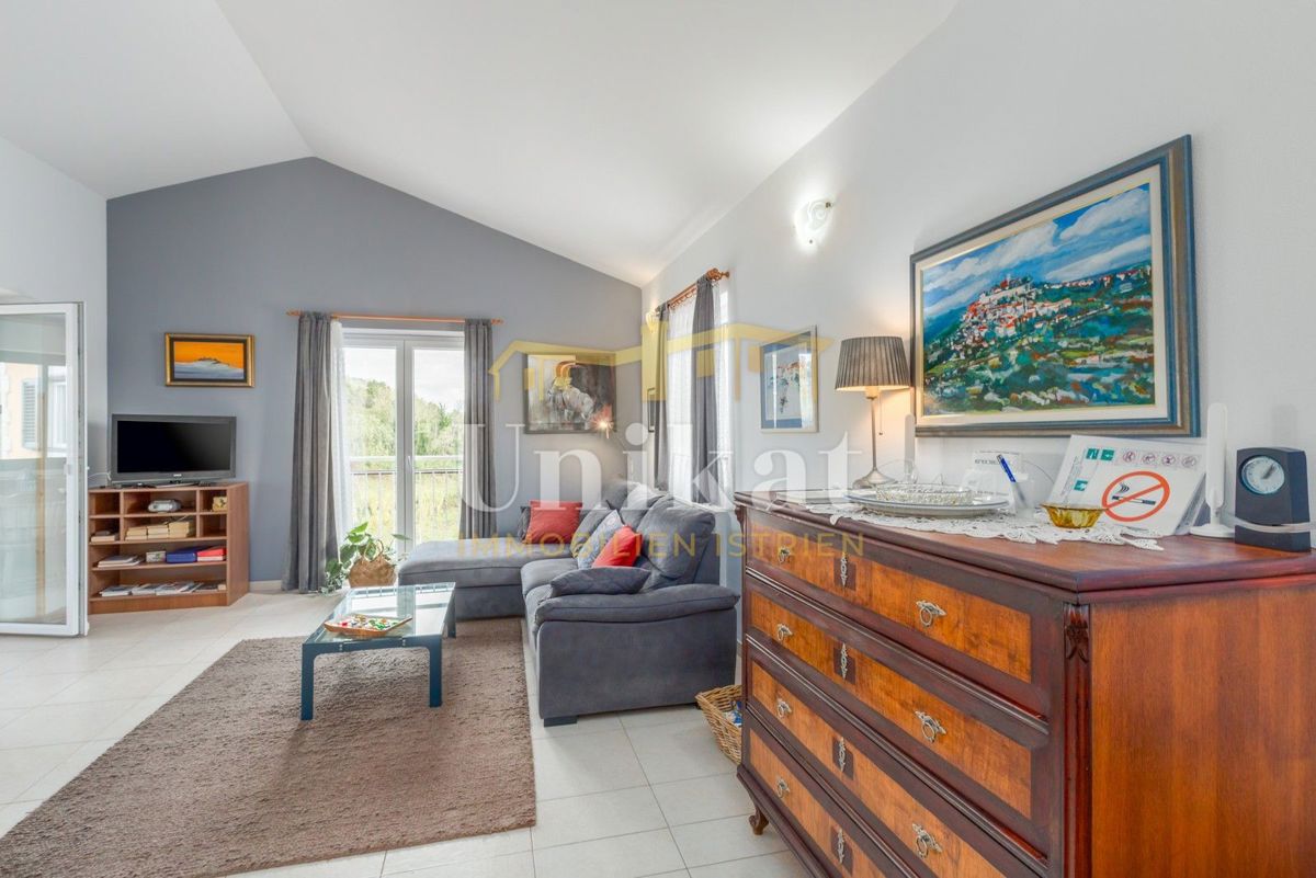 Hiša s čudovitim razgledom - Vižinada